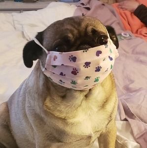 Meet your Posher, Yvonne